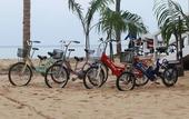 Туры в отель The Barat Tioman Beach Resort