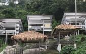 Туры в отель The Barat Tioman Beach Resort