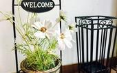 Туры в отель A&T Hotel & Hostel