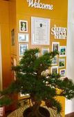 Туры в отель A&T Hotel & Hostel