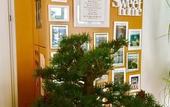 Туры в отель A&T Hotel & Hostel