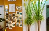 Туры в отель A&T Hotel & Hostel
