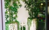 Туры в отель A&T Hotel & Hostel