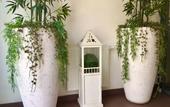 Туры в отель A&T Hotel & Hostel