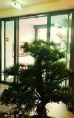 Туры в отель A&T Hotel & Hostel