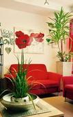 Туры в отель A&T Hotel & Hostel