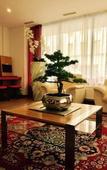 Туры в отель A&T Hotel & Hostel