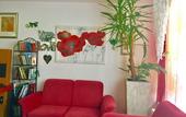 Туры в отель A&T Hotel & Hostel