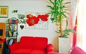 Туры в отель A&T Hotel & Hostel