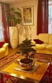 Туры в отель A&T Hotel & Hostel
