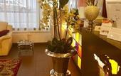 Туры в отель A&T Hotel & Hostel