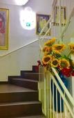 Туры в отель A&T Hotel & Hostel