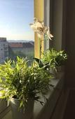 Туры в отель A&T Hotel & Hostel