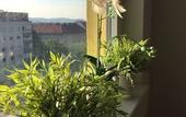 Туры в отель A&T Hotel & Hostel