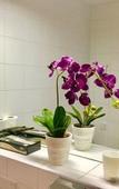 Туры в отель A&T Hotel & Hostel