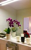 Туры в отель A&T Hotel & Hostel