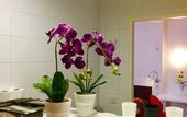 Туры в отель A&T Hotel & Hostel
