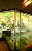 Туры в отель Tateshina Grand Hotel Takinoyu