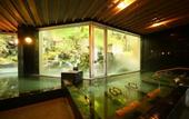 Туры в отель Tateshina Grand Hotel Takinoyu