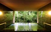 Туры в отель Tateshina Grand Hotel Takinoyu