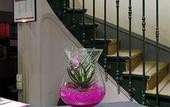 Туры в отель Hotel Ambassadeurs
