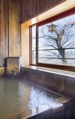 Туры в отель Moriaki Ryokan