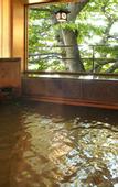 Туры в отель Moriaki Ryokan