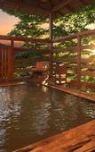 Туры в отель Moriaki Ryokan