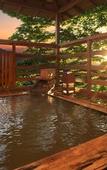 Туры в отель Moriaki Ryokan