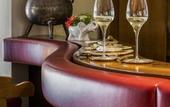 Туры в отель Hotel Elephant