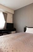 Туры в отель Hotel Aston Plaza Kansai Airport