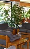 Туры в отель Hotel Canturio