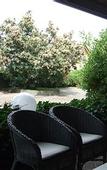 Туры в отель Hotel Canturio
