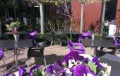 Туры в отель Hotel ten Cate