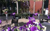 Туры в отель Hotel ten Cate