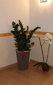 Туры в отель B&B The Queens