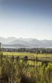Туры в отель Boschendal Farm Estate