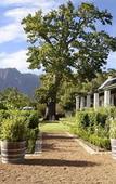 Туры в отель Boschendal Farm Estate
