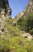 Туры в отель Boschendal Farm Estate