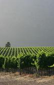 Туры в отель Boschendal Farm Estate
