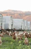 Туры в отель Boschendal Farm Estate