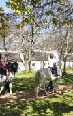 Туры в отель Boschendal Farm Estate
