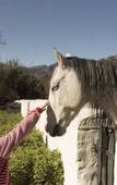 Туры в отель Boschendal Farm Estate