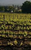 Туры в отель Boschendal Farm Estate