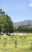 Туры в отель Boschendal Farm Estate
