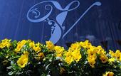 Туры в отель Velvet Hotel Manchester, WorldHotels Crafted