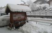 Туры в отель Hotel Auronzo Dolomites, Affiliated by Melia