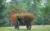 Туры в отель Romantic Hotel Furno