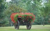 Туры в отель Romantic Hotel Furno