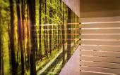 Туры в отель Pineta Hotel
